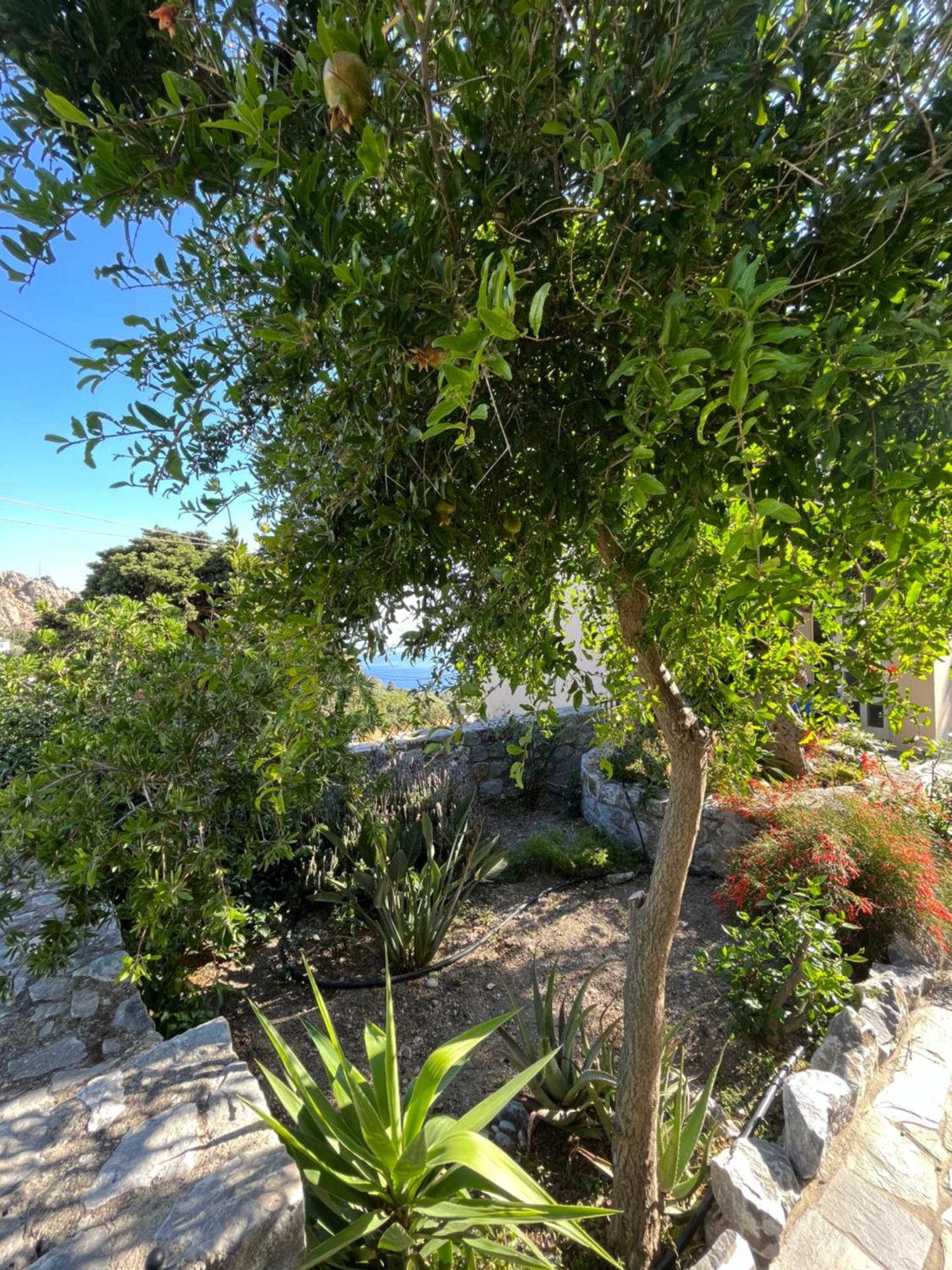 Petasos House - Garden - Sea View Villa Sellía Exteriör bild