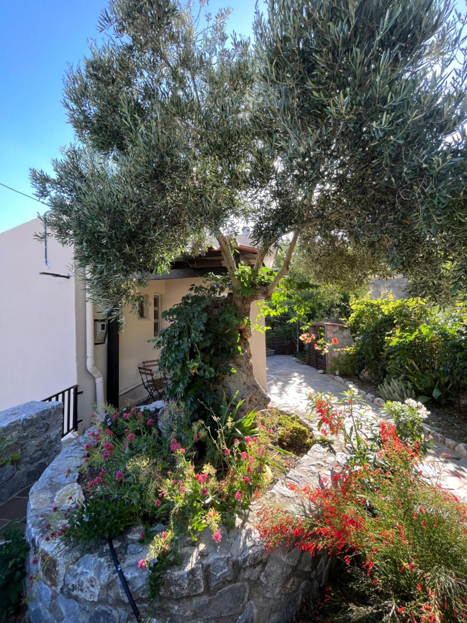 Petasos House - Garden - Sea View Villa Sellía Exteriör bild